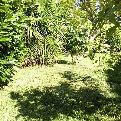 Апартаменты Lena